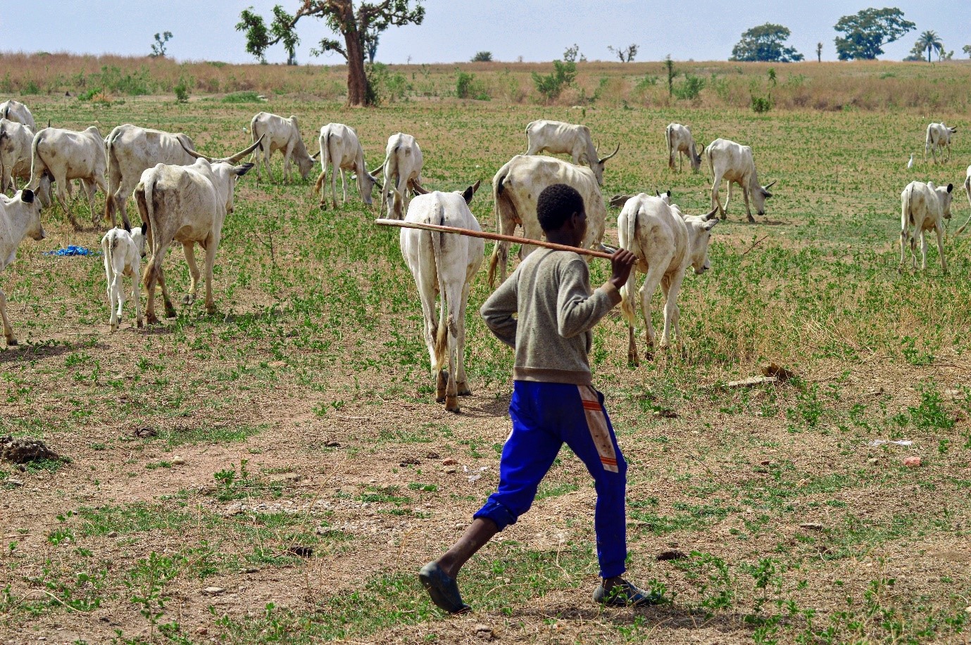 Farmers Herders Nigeria