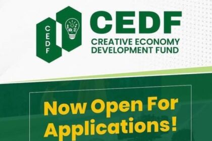 Graphic. MSME Africa