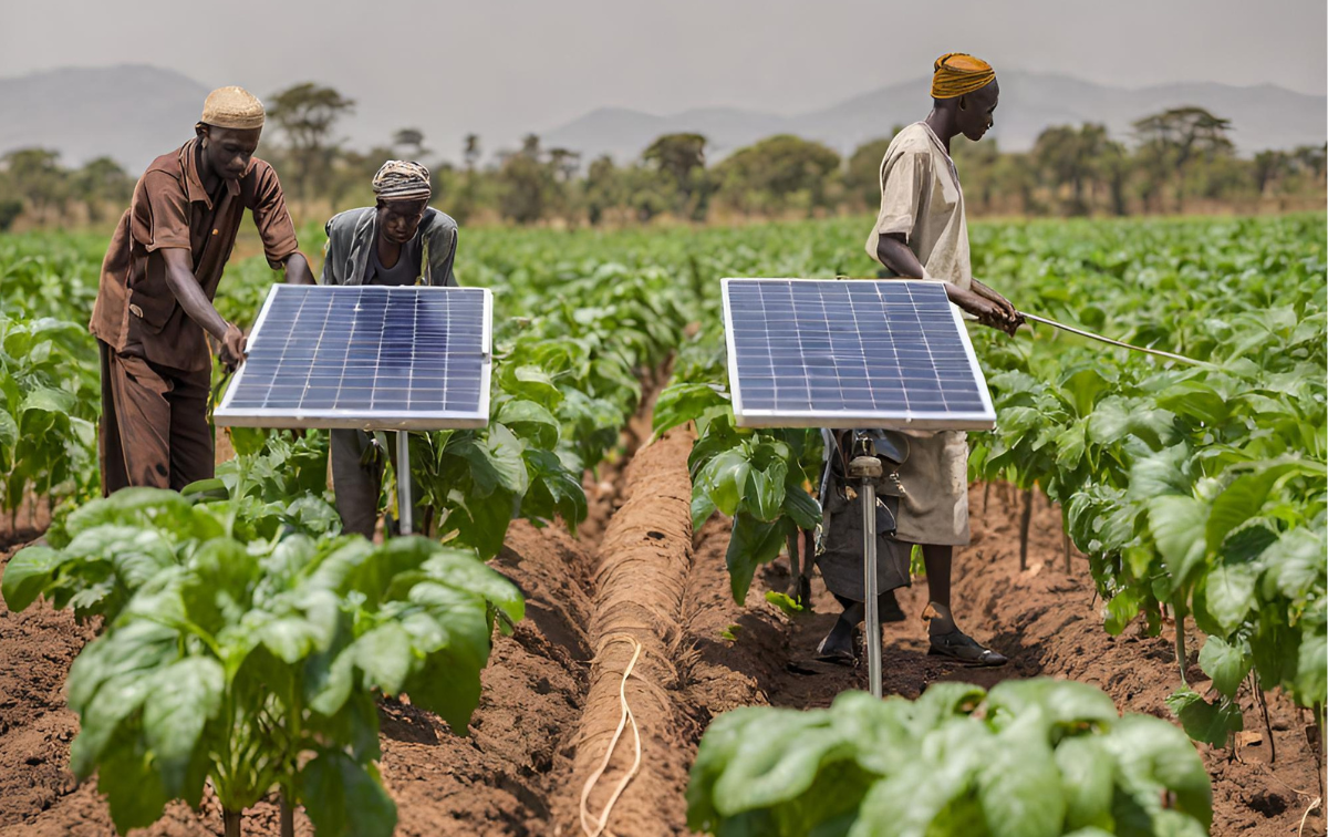 Solar Irrigation