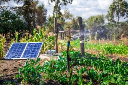 Solar powered irrigation system in a maize farm in Ghana