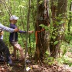 Tree Fund John Z. Duling Grant Program 2017 Up to 25000 Grant