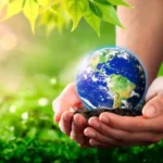 World Sustainability Award