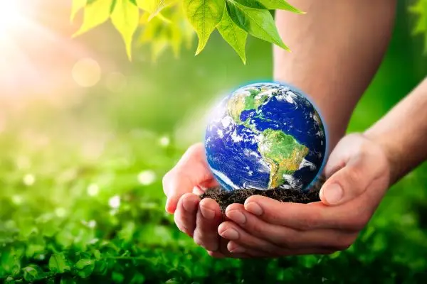 World Sustainability Award