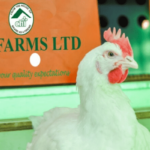 chi farms 1