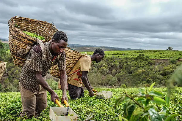 food security