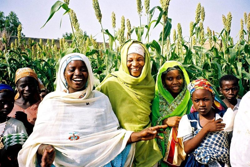 group of women from nigeria 1150x770 1 800x536