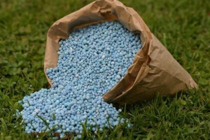 nitrogenous fertiliser granules 640x470
