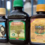 viagra drinks