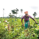 women farmers