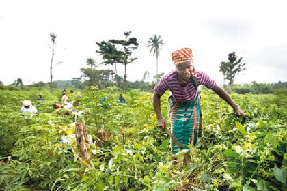 women farmers