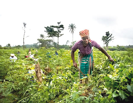 women farmers