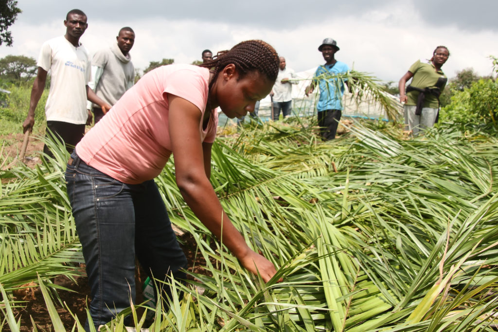 Youths at the Farmers' Academy in Nigeria, developed by 2SCALE