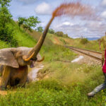 This photo is used to illustrate the photography award. Credit: Prince Albert 11 of Monaco Foundation.