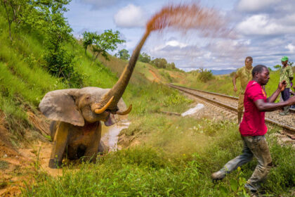 This photo is used to illustrate the photography award. Credit: Prince Albert 11 of Monaco Foundation.