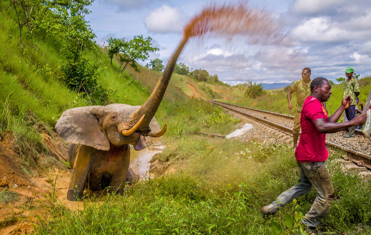 This photo is used to illustrate the photography award. Credit: Prince Albert 11 of Monaco Foundation.