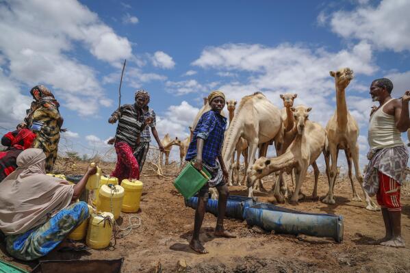 £500K in Funding for Climate Projects in Kenya