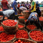 Securing supply chains to curb soaring food prices