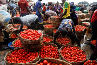 Securing supply chains to curb soaring food prices