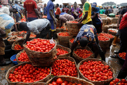 Securing supply chains to curb soaring food prices