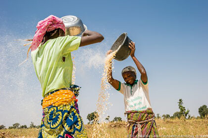 Babban Gona Option 2