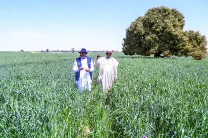 Inside Jigawa's push for agricultural renewal