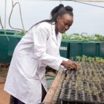 AWARD Launches 2026 Fellowship for African Women in Agri-Science