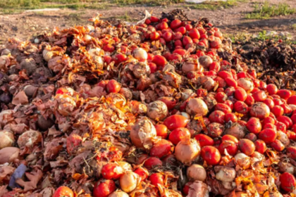 Post-harvest losses: Afreximbank–BOA bet on a fix