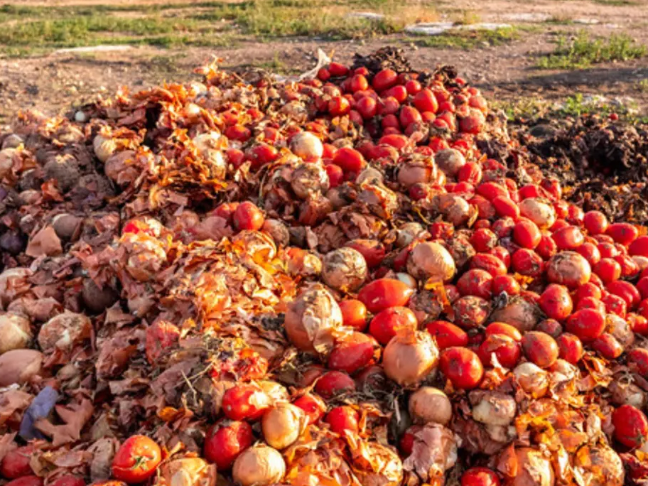 Post-harvest losses: Afreximbank–BOA bet on a fix