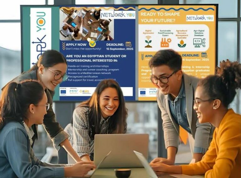 NetworkYOU Programme