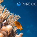 Illustration: Courtesy of Pure Ocean Foundation