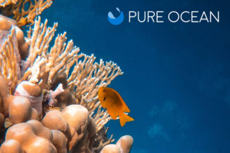 Illustration: Courtesy of Pure Ocean Foundation