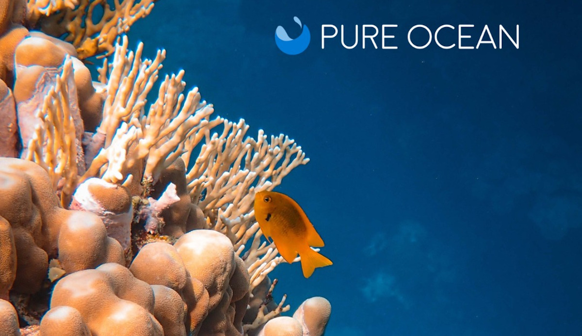 Illustration: Courtesy of Pure Ocean Foundation