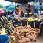 Why Biofortification can end Nigeria's malnutrition crisis. Credit. harvestplus