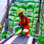 Can fertiliser subsidy tame soaring food prices in Nigeria?