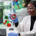 Will Biotech be the answer to Nigeria's food insecurity?