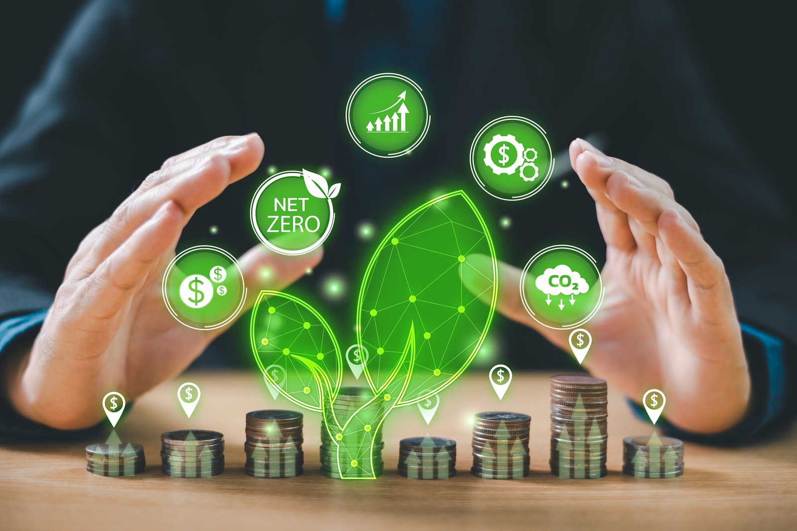 This image is used to illustrate climate finance. Credit: COP30