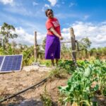 Betting on solar irrigation to improve food security