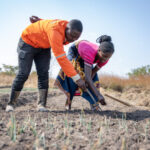 AUDA-NEPAD seeks partners to power Africa’s Land Accelerator 2024–2025