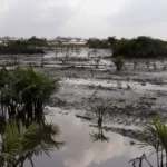 Why stronger environmental laws can't wait