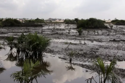 Why stronger environmental laws can't wait