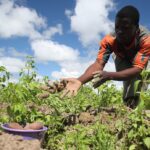 Photo credit: Global Farmer Network