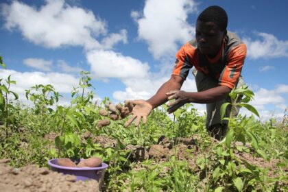 Photo credit: Global Farmer Network