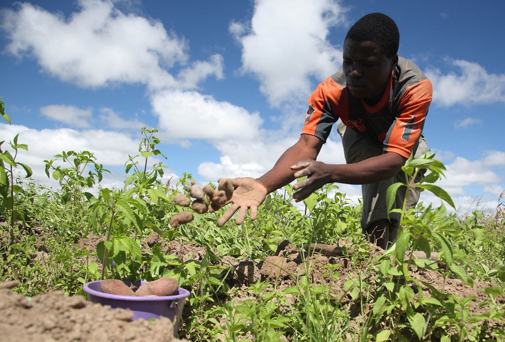 Photo credit: Global Farmer Network