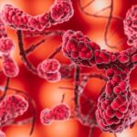 Blood cancer