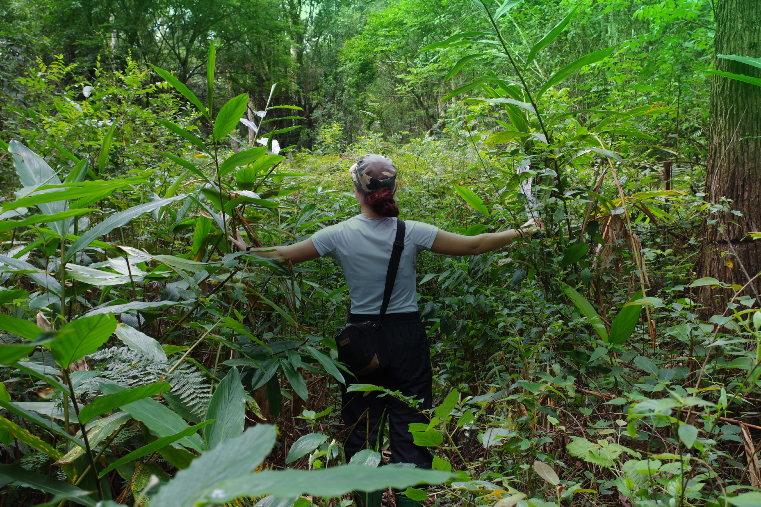 Photo credit: National Geographic Society