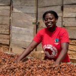 A cocoa farmer. Credit: Francis Kokoroko