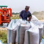 What Kano's alliance with Guinea-Bissau for trade in West Africa 3 What Kano's partnership with Guinea-Bissau means for trading in west Africa