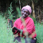 UNDP Kenya 2025 Applications for GEF Small Grants Programme