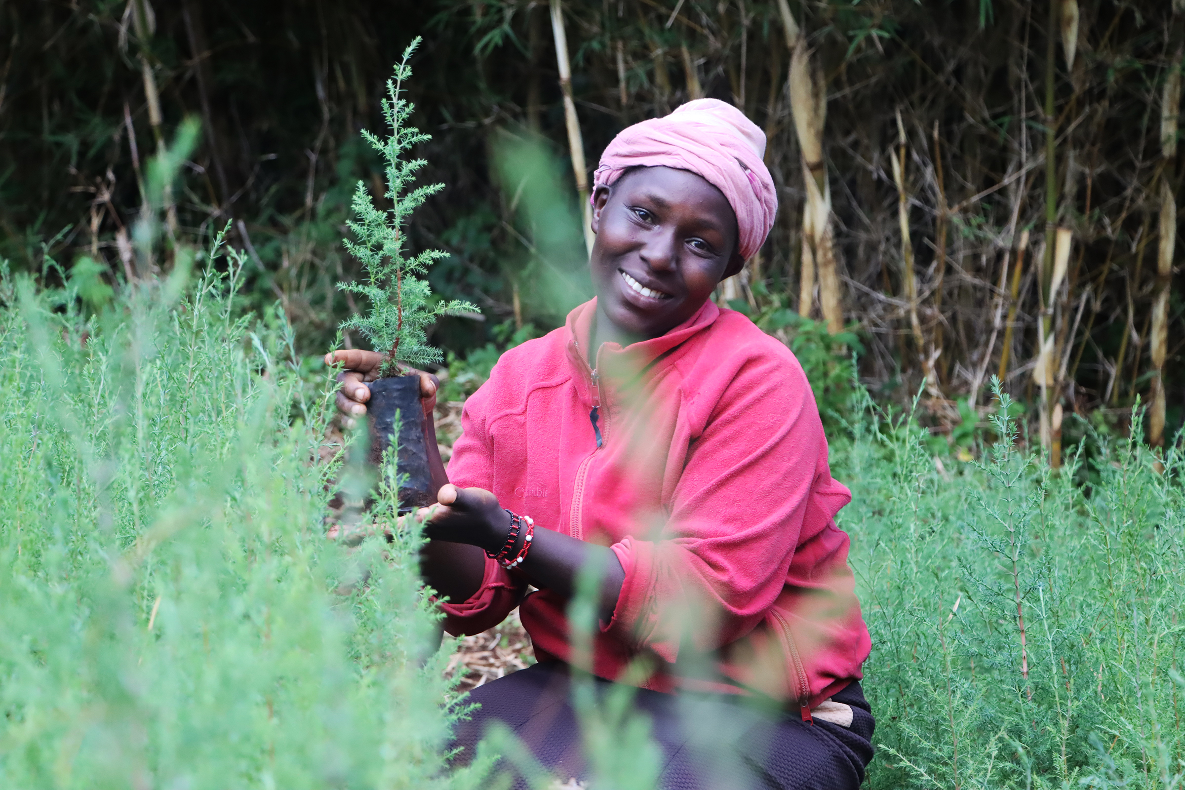 UNDP Kenya 2025 Applications for GEF Small Grants Programme