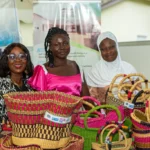 $1.2 million global fund launches for women’s rights 2 Women's Voice and Leadership Learning Partnership for women's rights